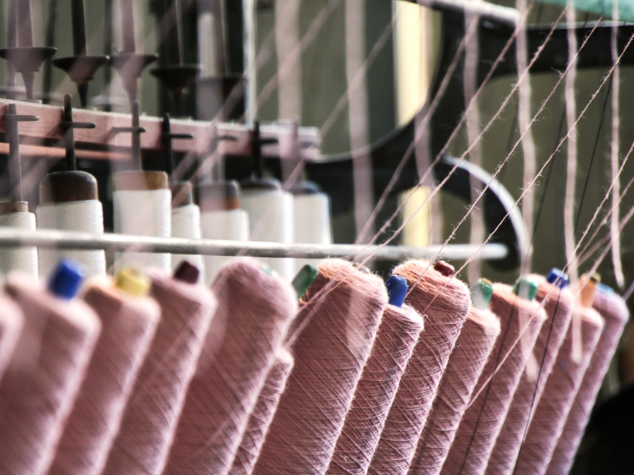 n°74 New eco-friendly wool blankets
