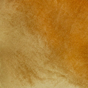 Numero 74 - Butterfly Wings - Gold - S024