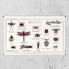 Numero 74 - School Poster Insects - Natural - S000