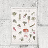 Numero 74 - School Poster Vegetables - Natural - S000