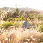 Numero 74 - Tipi  - Sage Green - S049