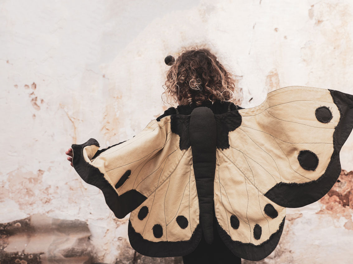 Lucy Butterfly's Wings