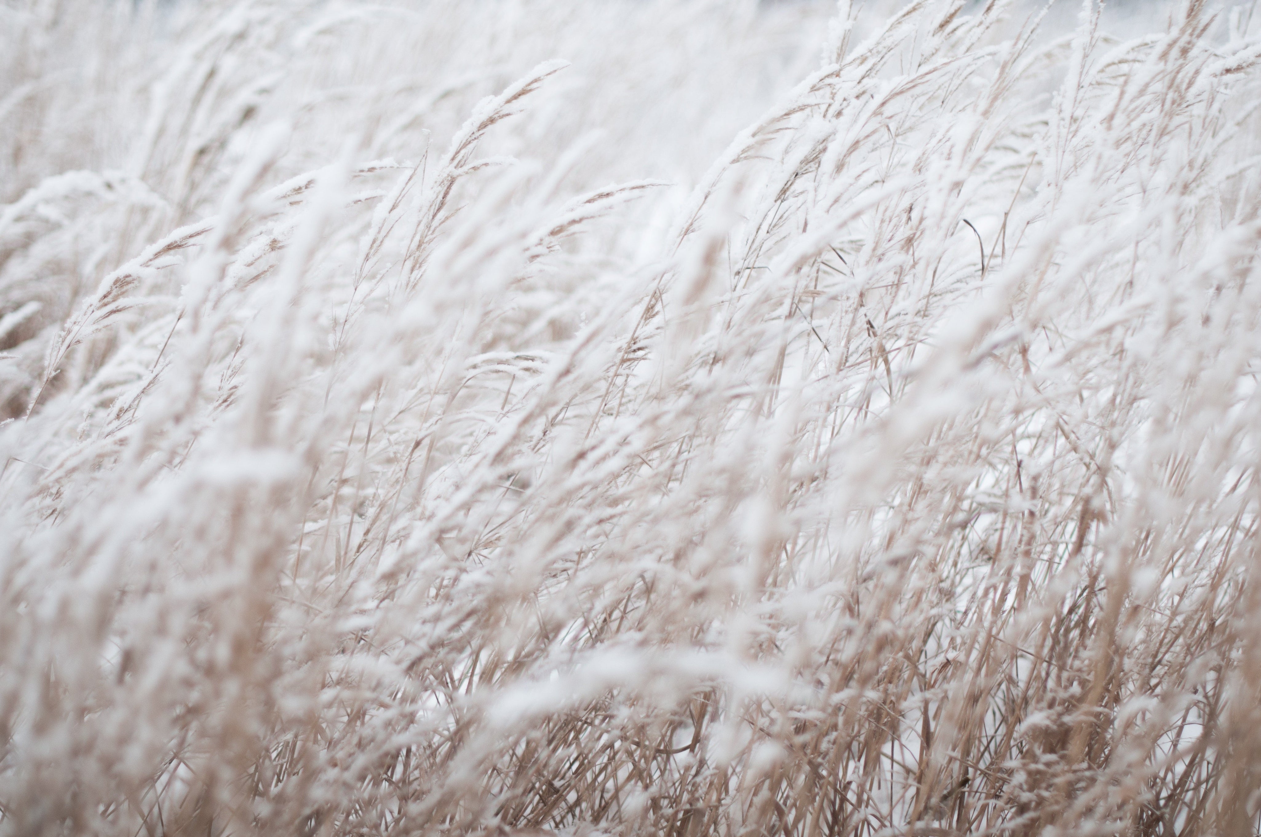 S000 Natural - n°74 E-Shop