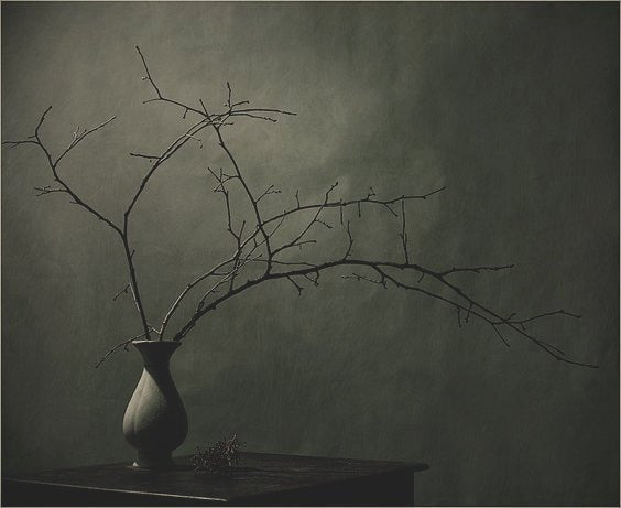 S021 Dark Grey - n°74 E-Shop