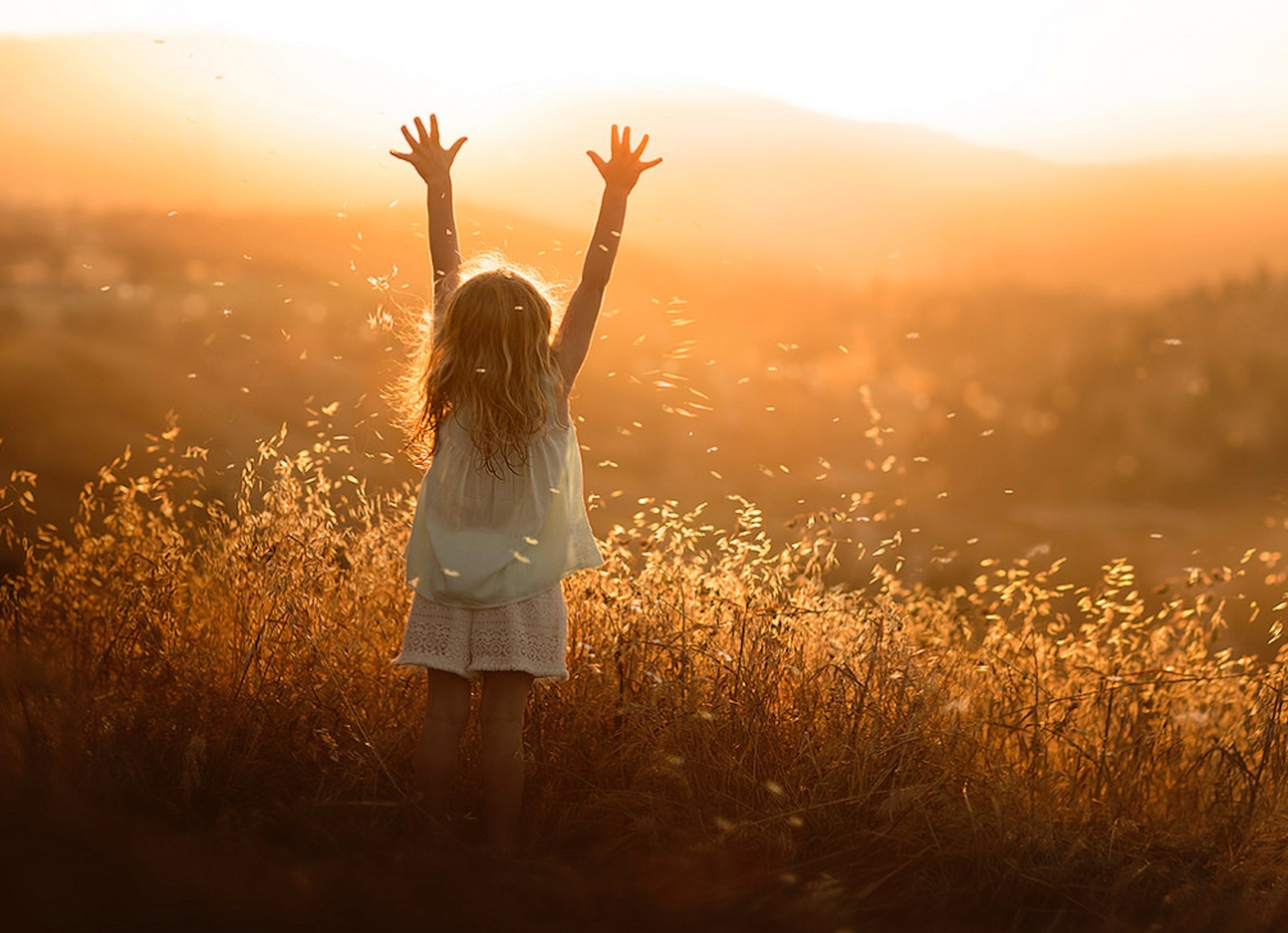 S024 Gold - n°74 E-Shop