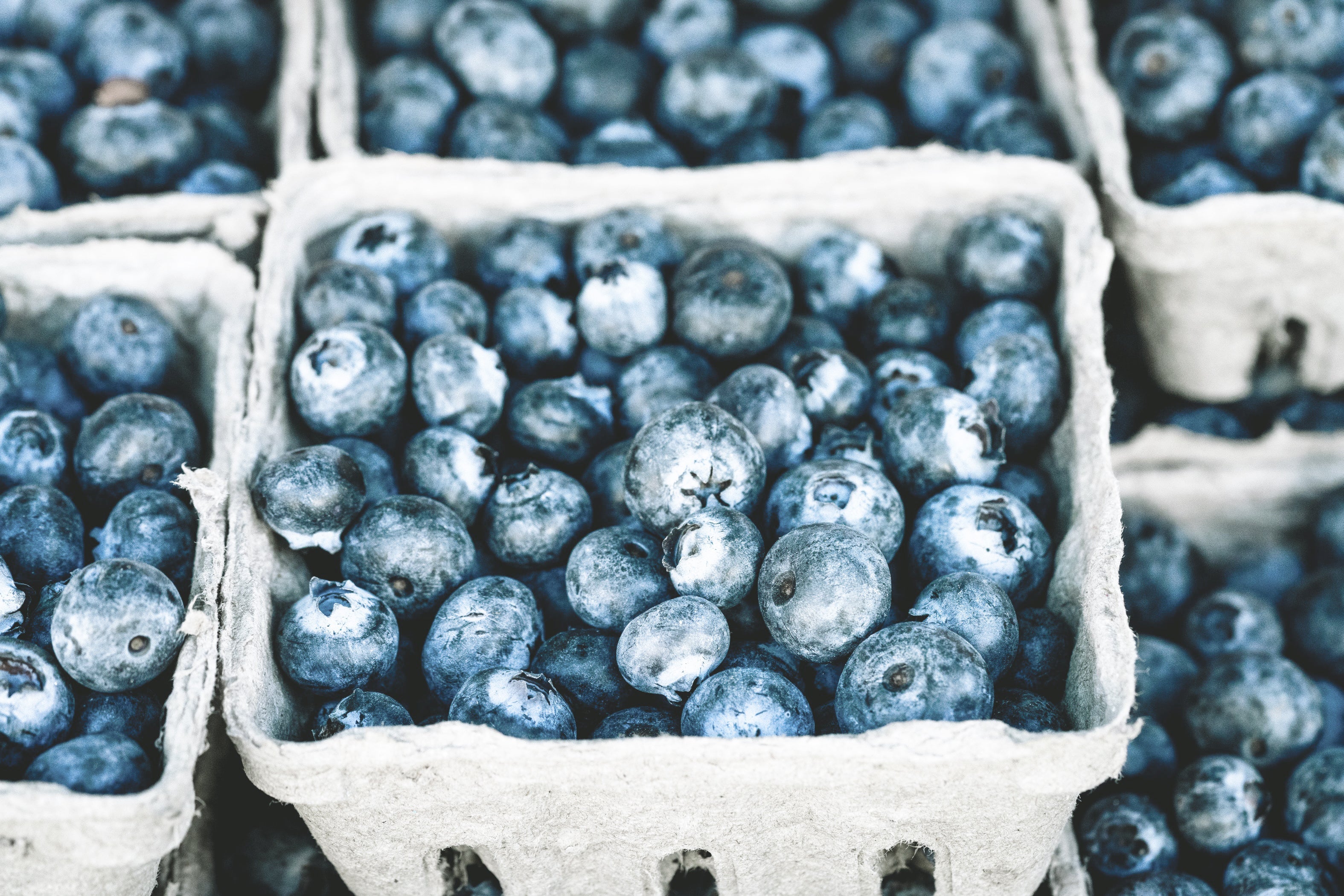 S032 Ice Blue - n°74 E-Shop