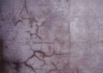 S041 Dusty Lilac - n°74 E-Shop