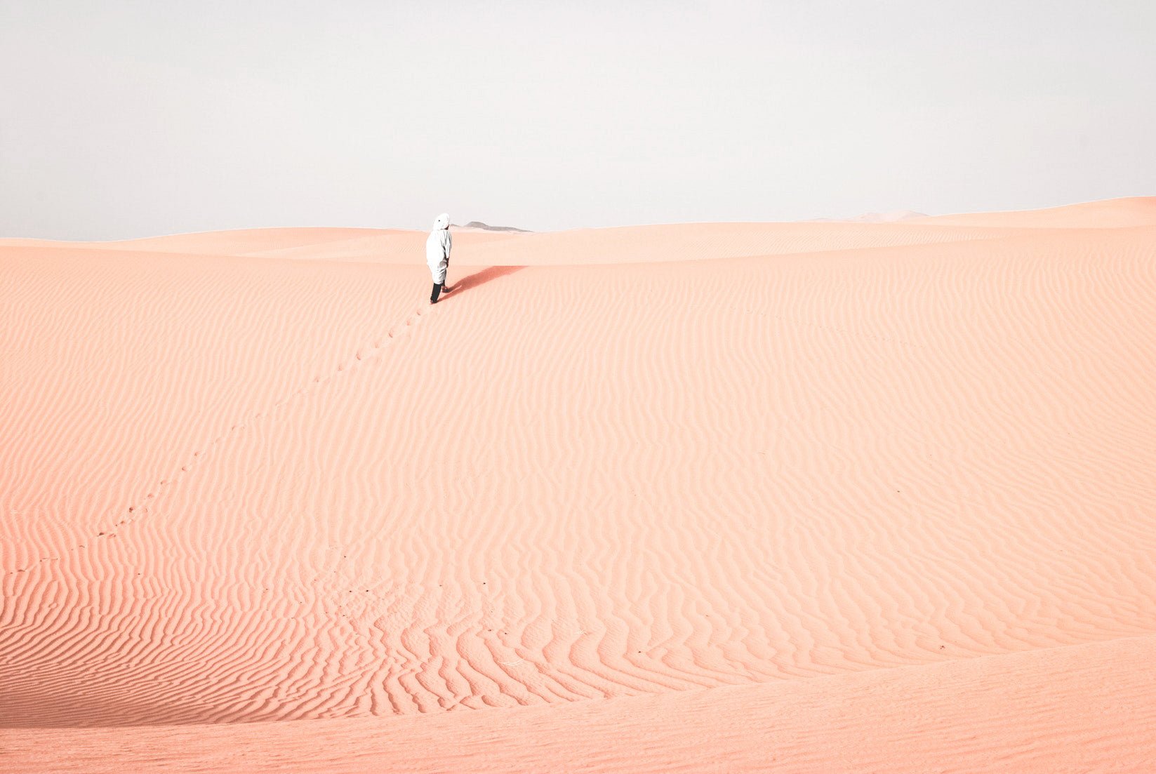 S047 Pale Peach - n°74 E-Shop