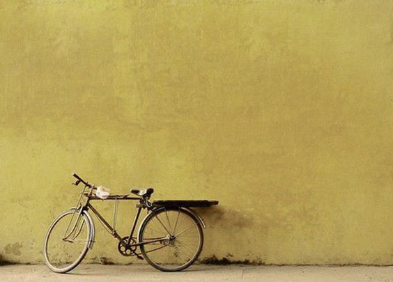 S048 Mellow Yellow - n°74 E-Shop