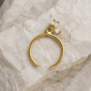 Joy Stones Ring - Moonstone