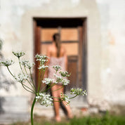 Dobby Short Pants - Women - CD Cotton Dobby - S007 Dusty Pink - n°74 E - Shop - 7400000137449