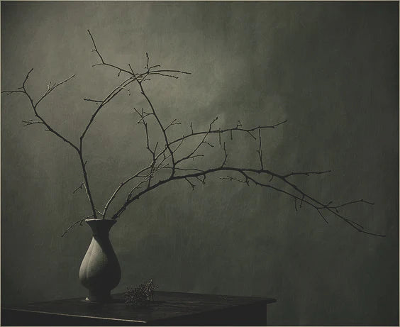 inspiration4_1080x_d626c2d6-b92e-441d-85ec-add219d4229c.webp