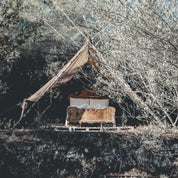 Summer Blanket - DS Double Saloo - S000 Natural - n°74 E - Shop - 7400000055445