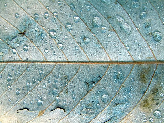 sweet_blue_moodboard_3_1024x1024_efb99e9d-f399-4605-abcd-cc95c02d2b30.jpg
