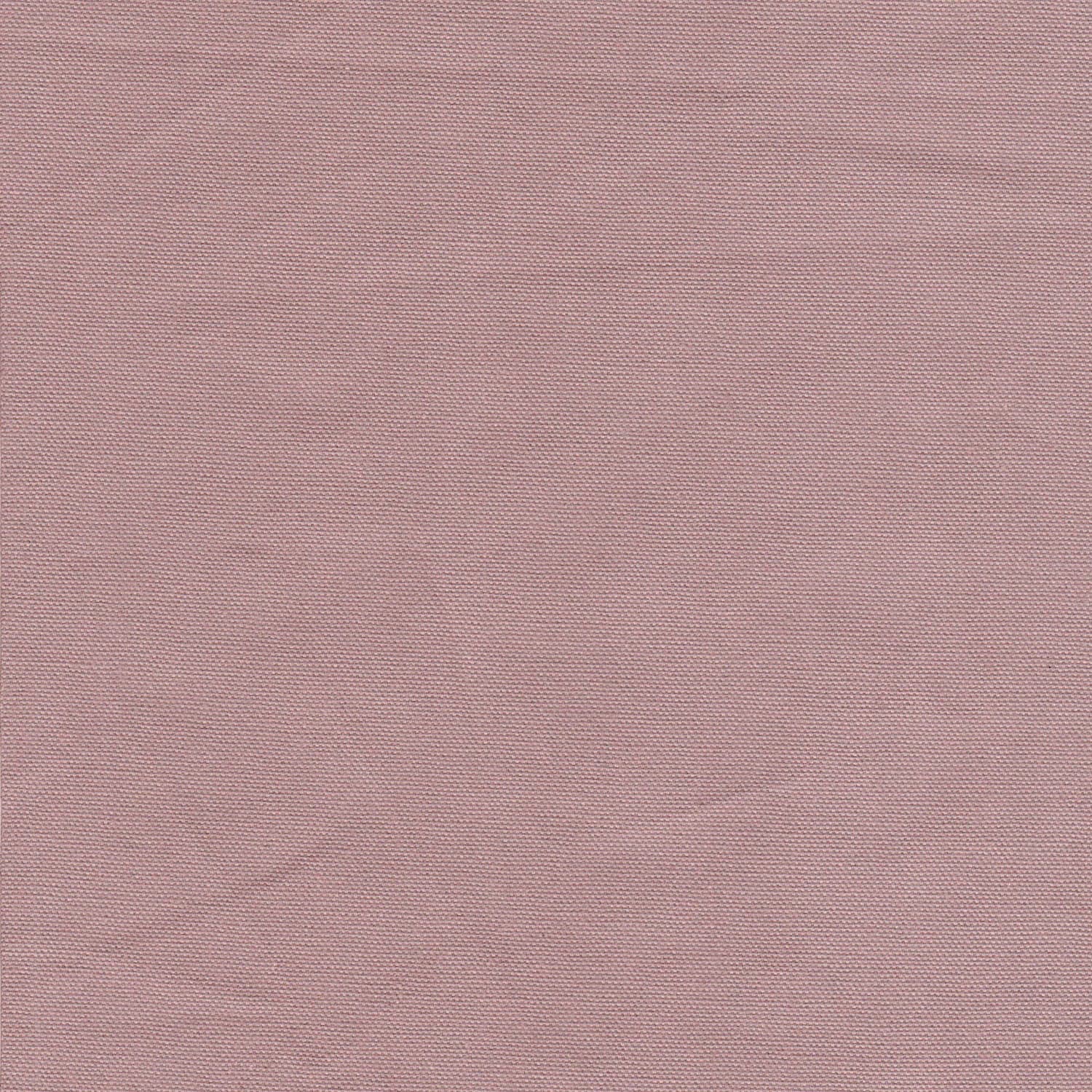 Numero 74 - Ted Bear Cushion  - Decor - Dusty Pink - S007