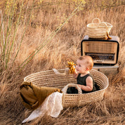 Moses Basket Palm Leaf