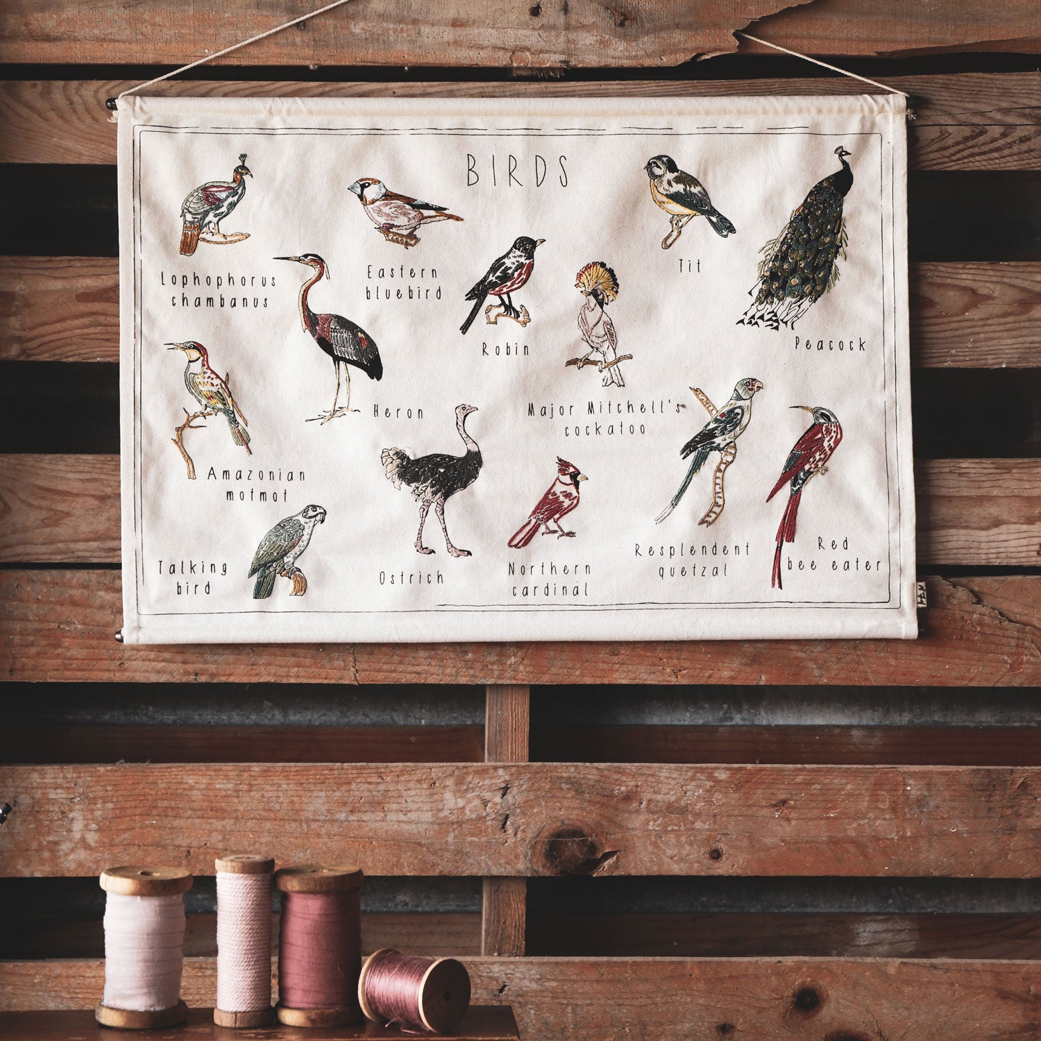 School Poster Birds - CV Canvas - S000 Natural