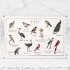 Numero 74 - School Poster Birds - Natural - S000