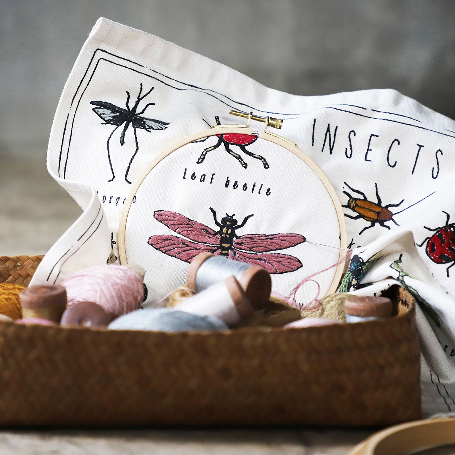 School Poster Kit Insects - CV Canvas