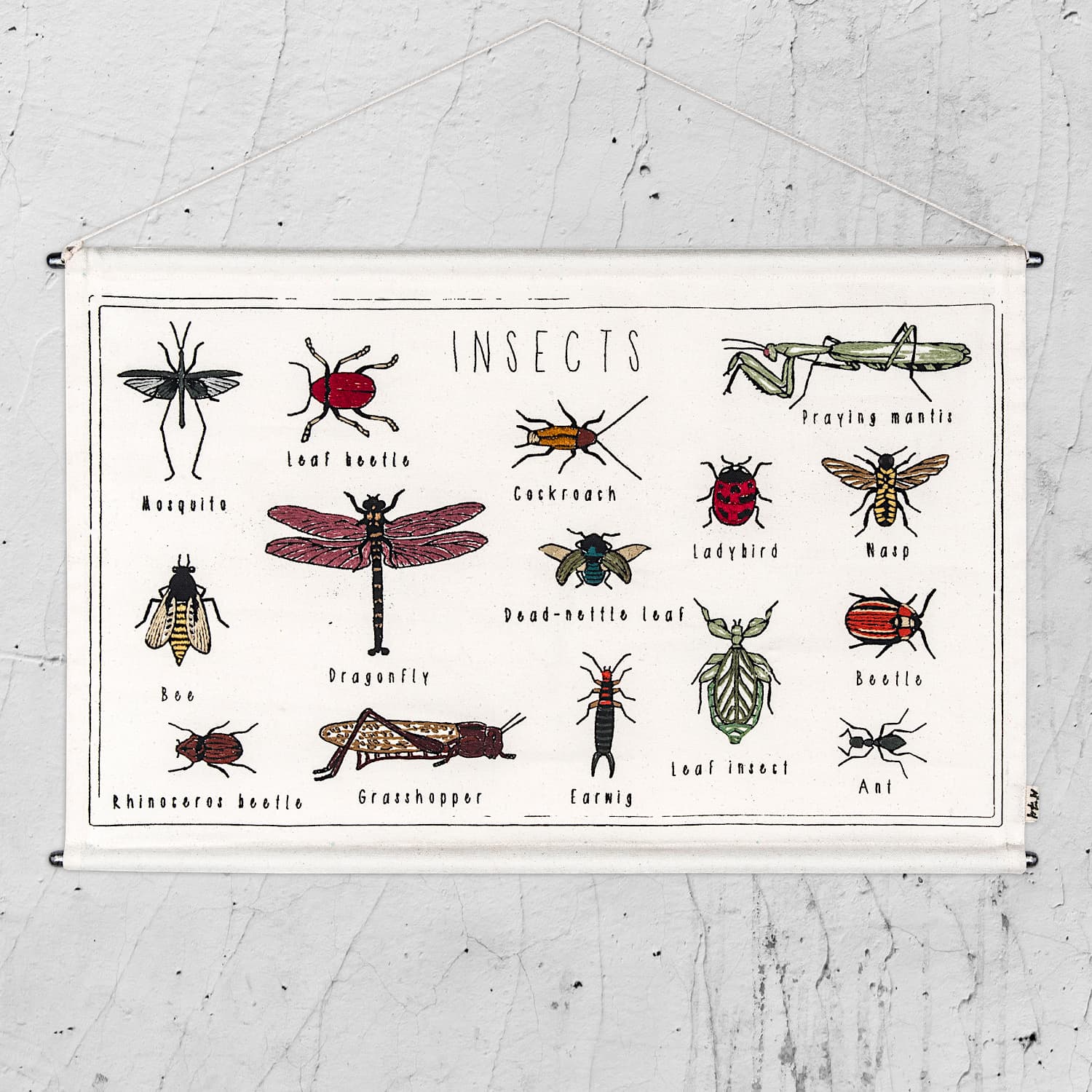 Numero 74 - School Poster Insects - Natural - S000