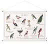 Numero 74 - School Poster Kit Birds - Natural-Multicolor - D117