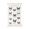 Numero 74 - School Poster Kit Butterflies - Natural-Multicolor - D117