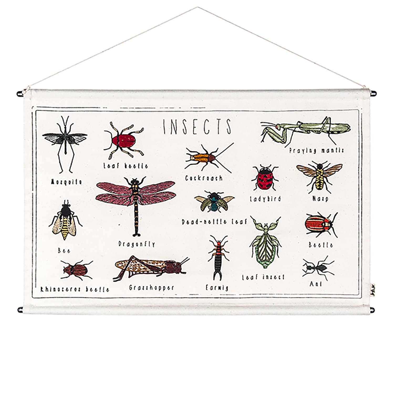 Numero 74 - School Poster Kit Insects - Natural-Multicolor - D117