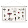 Numero 74 - School Poster Kit Insects - Natural-Multicolor - D117