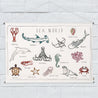 Numero 74 - School Poster Sea World - Natural - S000