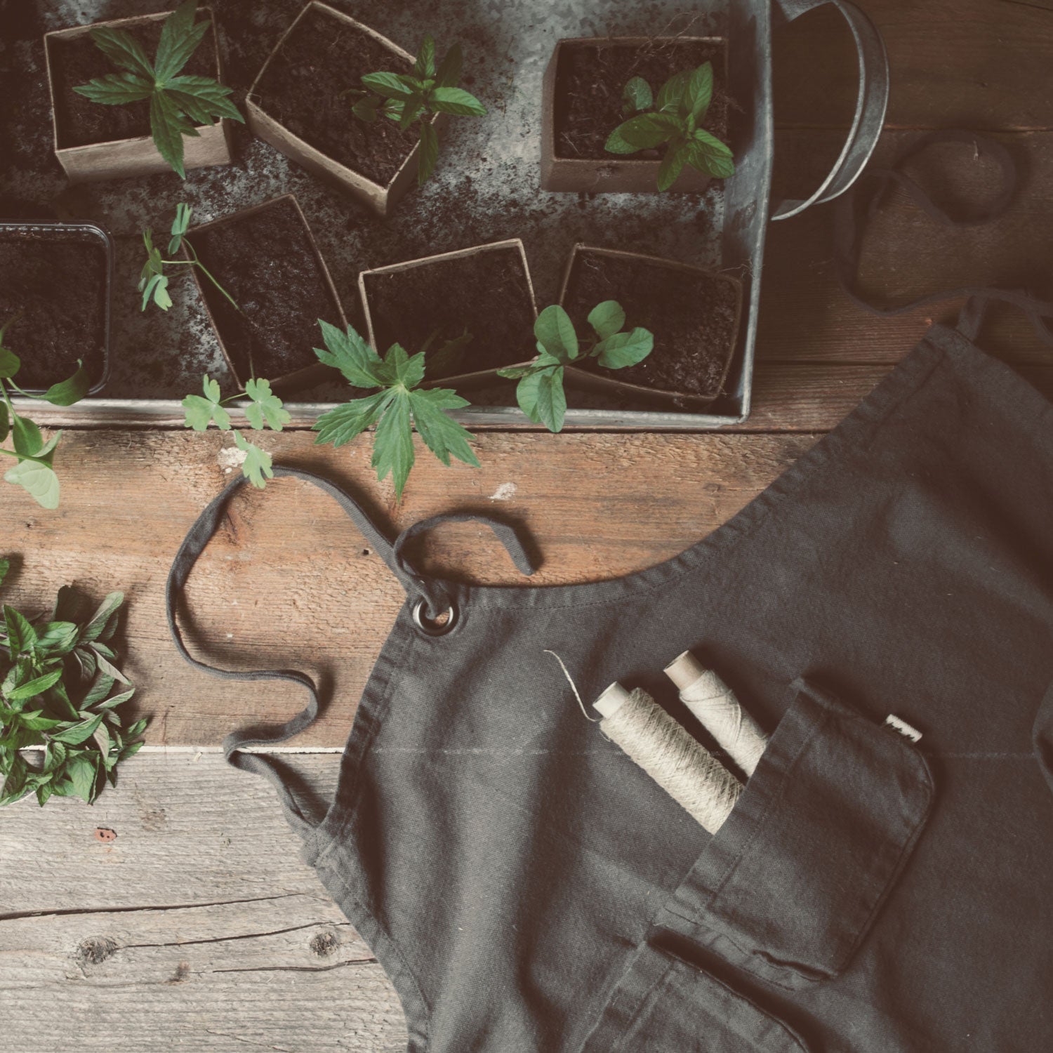 Apron Adult - TC Thai Cotton - S021 Dark Green Grey - n°74 E - Shop - 7400000096790